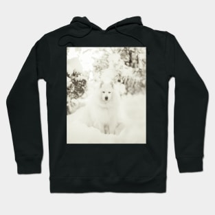 Snowy Samoyed Phone Case Hoodie